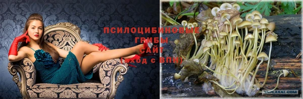 соль ск Лихославль