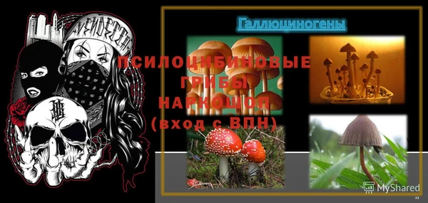 соль ск Лихославль